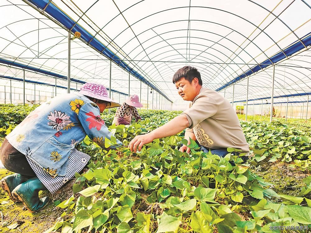 �������г�Ϊ���򣬳���������ҵ������������������ҵ���¸�����ҵ��